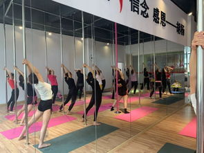 勁爆好消息！胡楊舞蹈周年特惠，僅198元體驗舞蹈魅力！